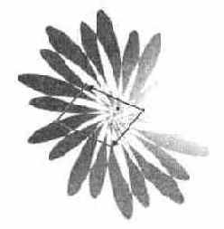 Corel Xara 2.0
