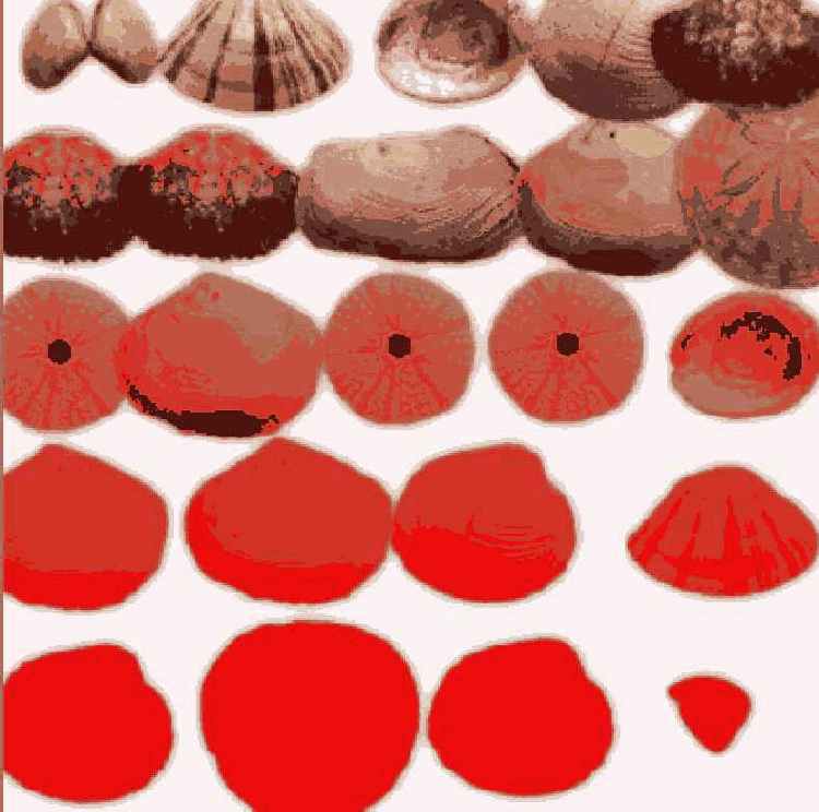 Corel Painter
