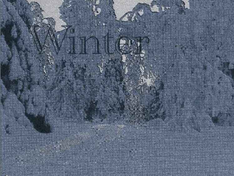Corel Painter
