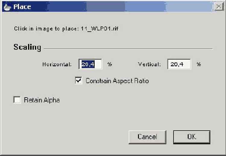 Corel Painter
