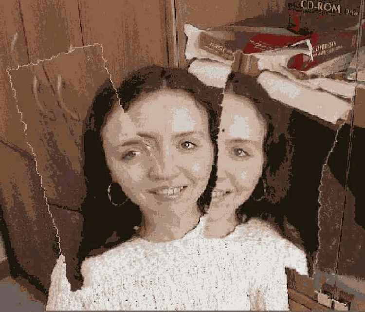 Corel Painter
