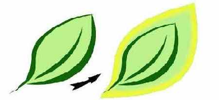 Help  CorelDRAW 3
