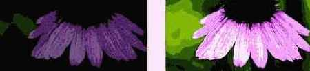 Help  CorelDRAW 3

