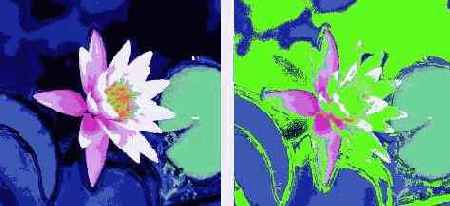 Help  CorelDRAW 3
