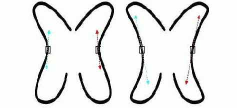 Help  CorelDRAW 3 ( 2)
