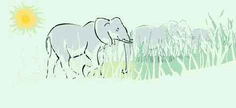 Help  CorelDRAW 3 ( 2)
