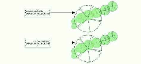 Help  CorelDRAW 3 ( 2)
