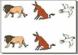 CorelDRAW
