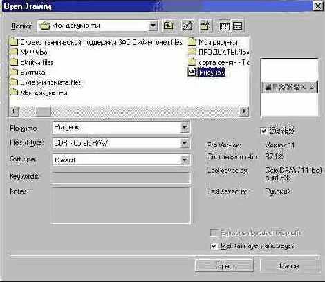  CorelDRAW
