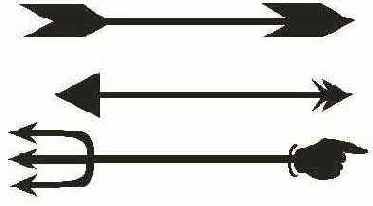  CorelDRAW
