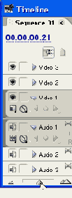 Adobe Premiere Pro 1.5
