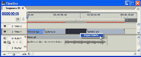 Adobe Premiere Pro 1.5
