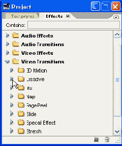 Adobe Premiere Pro 1.5
