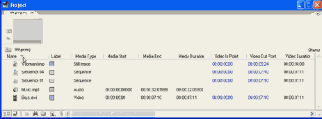 Adobe Premiere Pro 1.5
