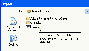 Adobe Premiere Pro 1.5
