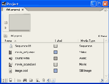 Adobe Premiere Pro 1.5
