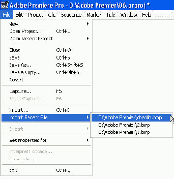 Adobe Premiere Pro 1.5

