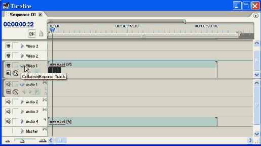 Adobe Premiere Pro 1.5
