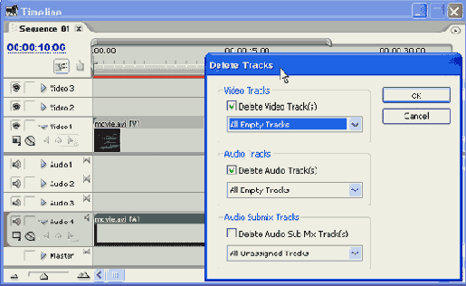 Adobe Premiere Pro 1.5
