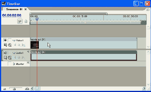 Adobe Premiere Pro 1.5
