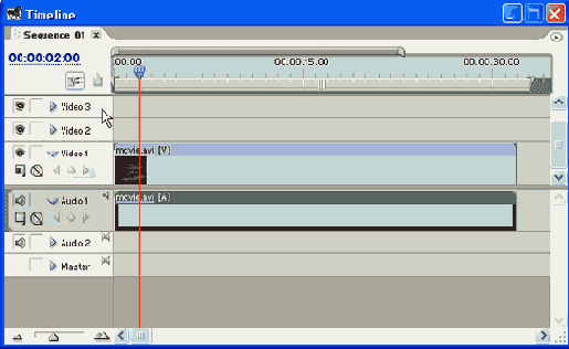 Adobe Premiere Pro 1.5
