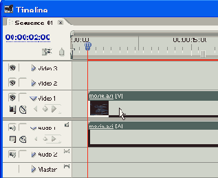 Adobe Premiere Pro 1.5
