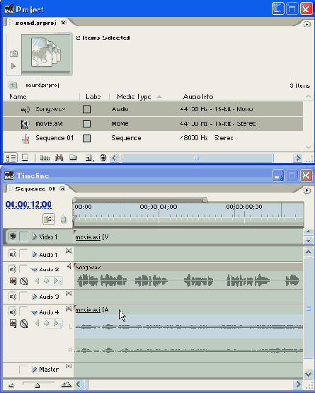 Adobe Premiere Pro 1.5
