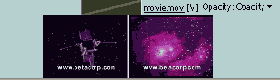 Adobe Premiere Pro 1.5
