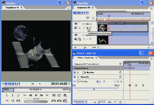 Adobe Premiere Pro 1.5
