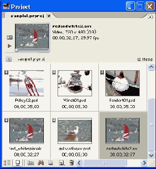  Adobe Premiere Pro
