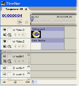  Adobe Premiere Pro
