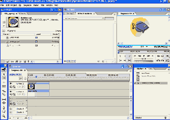  Adobe Premiere Pro
