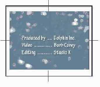  Adobe Premiere Pro
