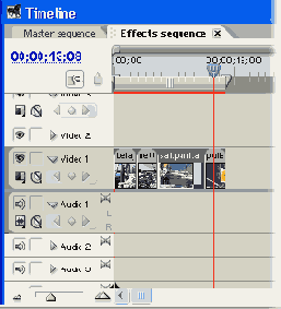  Adobe Premiere Pro
