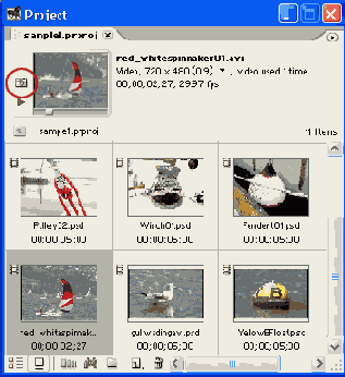  Adobe Premiere Pro
