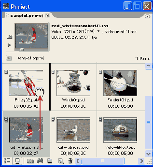  Adobe Premiere Pro
